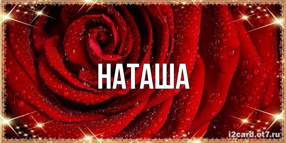 Открытка на каждый день с именем, Наташа Главная роса на розе блестящая в лучах солнца Прикольная открытка с пожеланием онлайн скачать бесплатно 