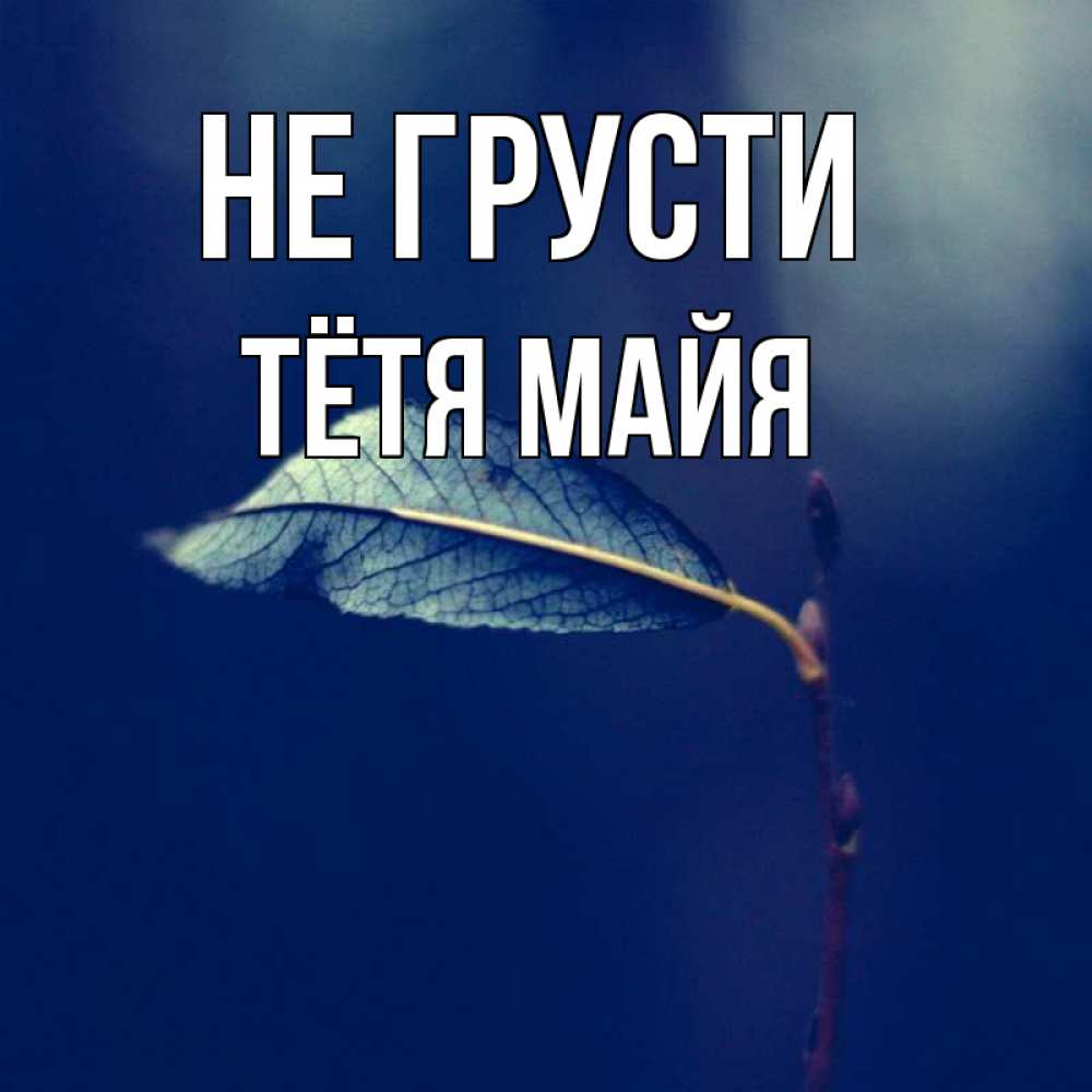 Открытка на каждый день с именем, Тётя-Майя Не грусти растение Прикольная открытка с пожеланием онлайн скачать бесплатно 