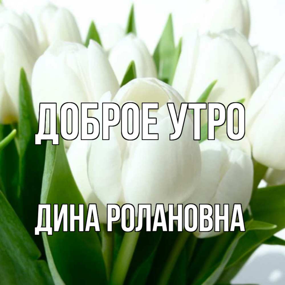 Доброе утро дина картинки