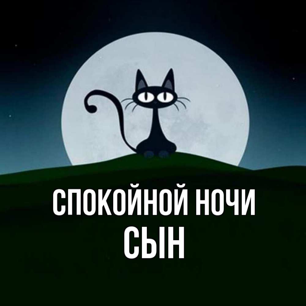 Спокойной ночи дашенька картинки