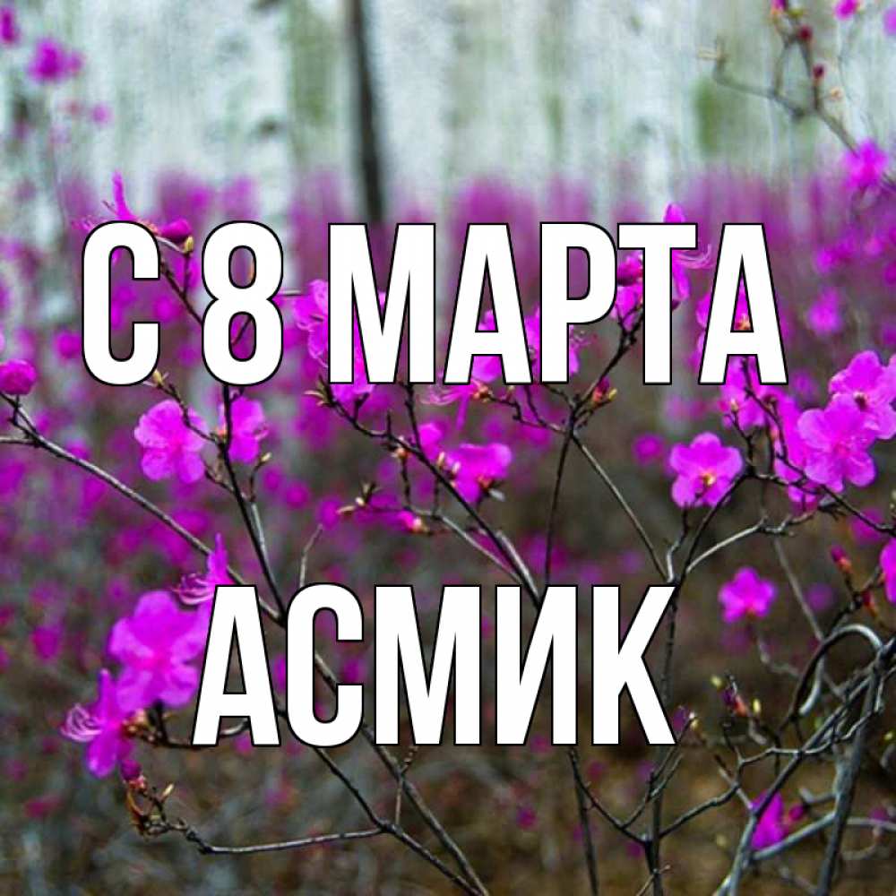 Картинка С 8 МАРТА, Асмик