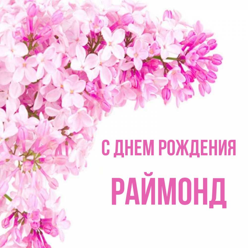 Открытка на каждый день с именем, Раймонд С днем рождения Сирень на белом фоне Прикольная открытка с пожеланием онлайн скачать бесплатно 
