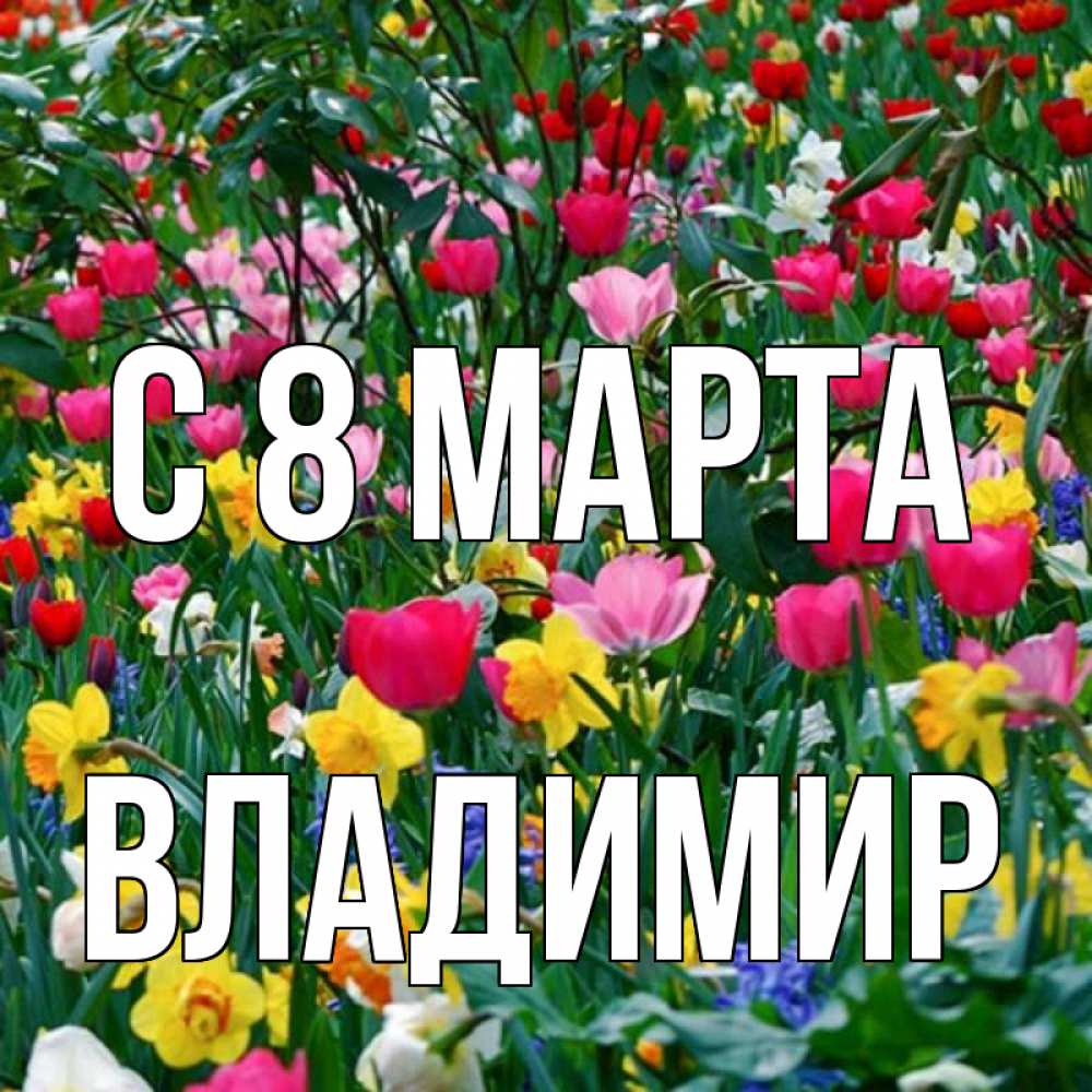 Открытка на каждый день с именем, Владимир С 8 МАРТА с международным женским днем поздравления для женщины Прикольная открытка с пожеланием онлайн скачать бесплатно 