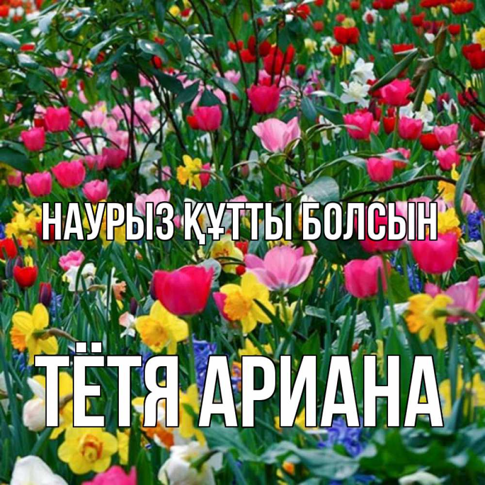 Открытка на каждый день с именем, Тётя-Ариана Наурыз құтты болсын с наурызом поздравления для женщины Прикольная открытка с пожеланием онлайн скачать бесплатно 