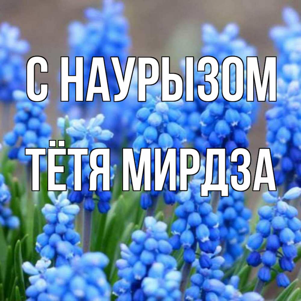 Открытка на каждый день с именем, Тётя-Мирдза С наурызом Поздравительная открытка для женщин с цветами на праздничную дату Прикольная открытка с пожеланием онлайн скачать бесплатно 