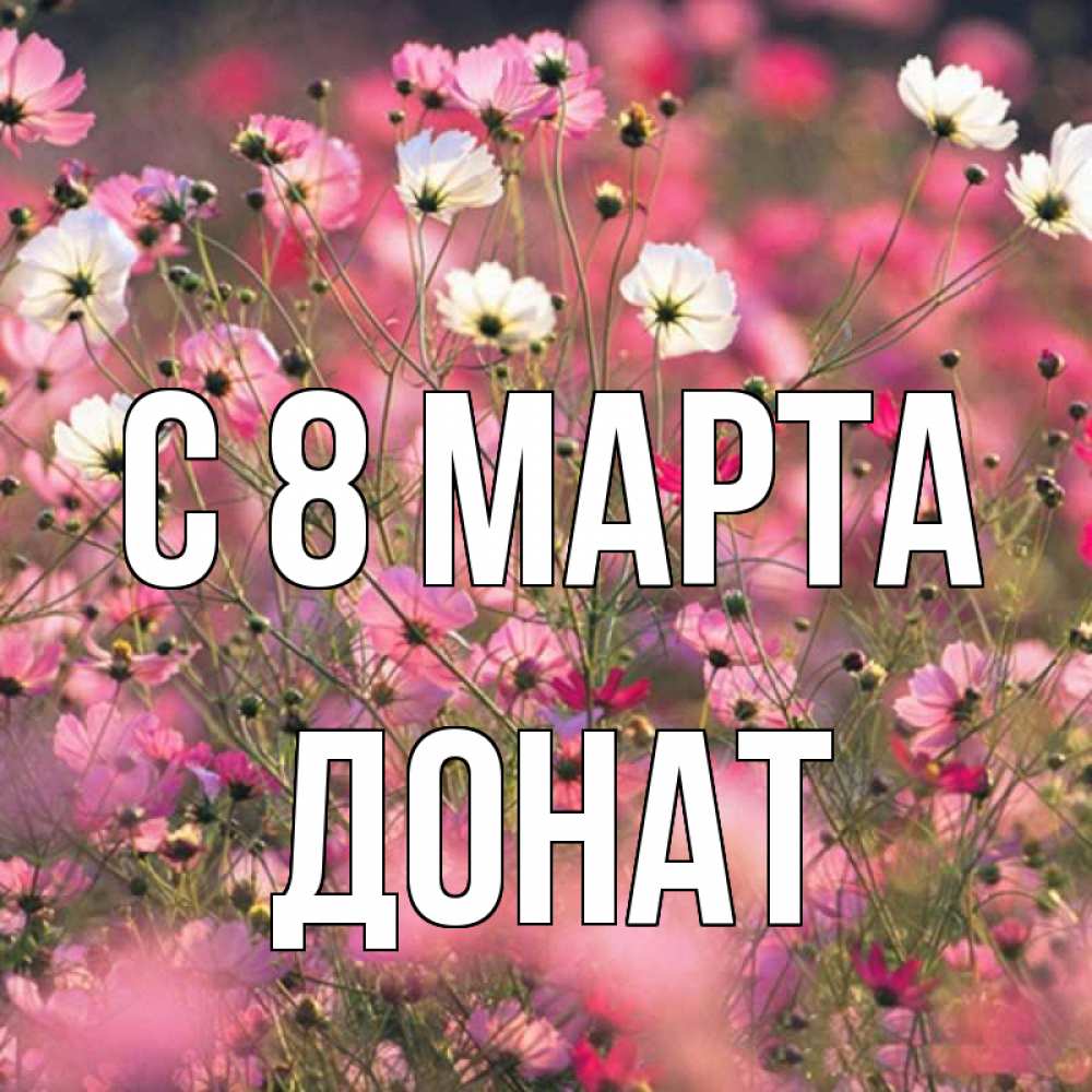 Имя марты. Открытки на 8 марта с именем Даша. Цветы для Наташи картинки. Марта имя. Картинки с именем Наташа красивые.