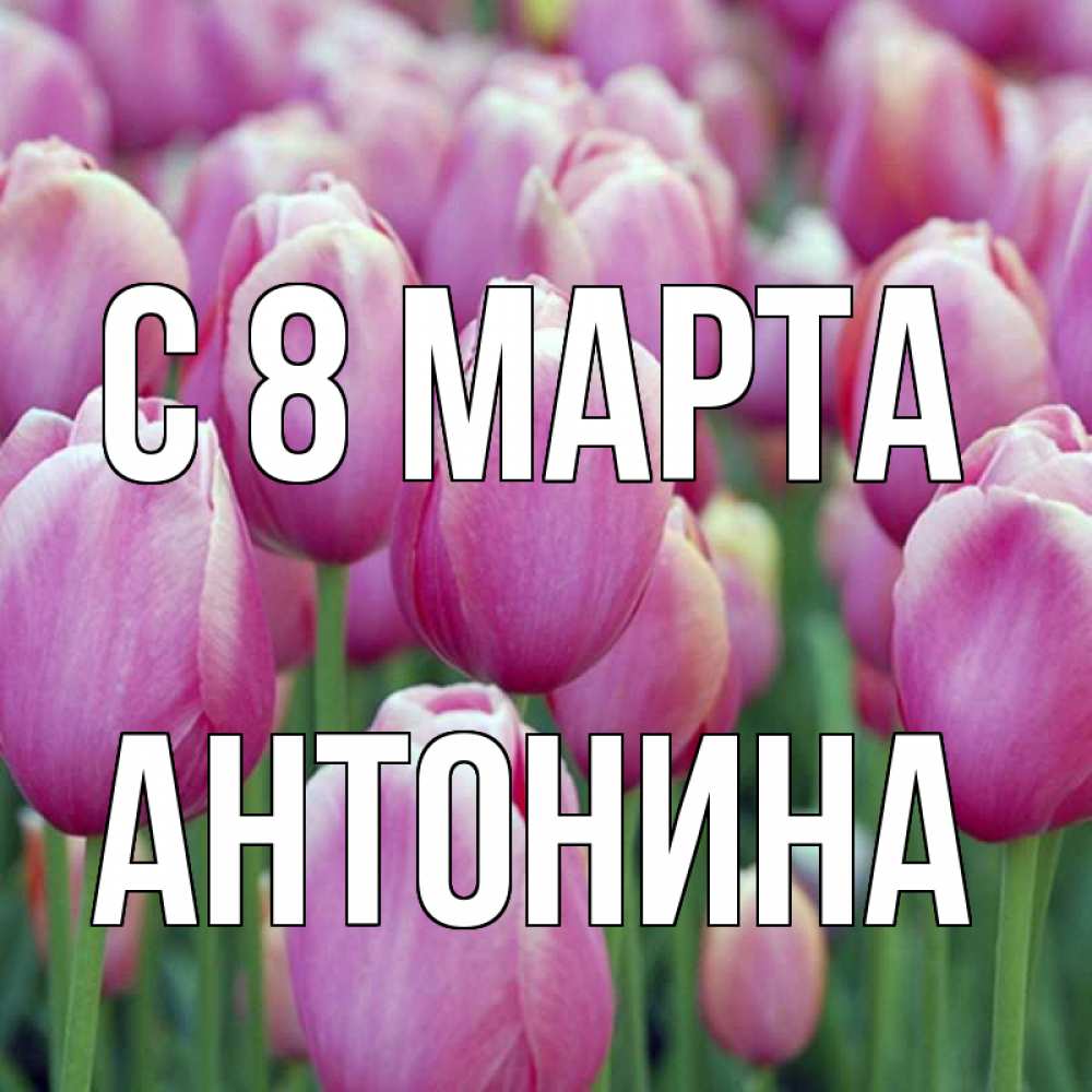 Открытка на каждый день с именем, Антонина С 8 МАРТА на международный женский день 3 Прикольная открытка с пожеланием онлайн скачать бесплатно 