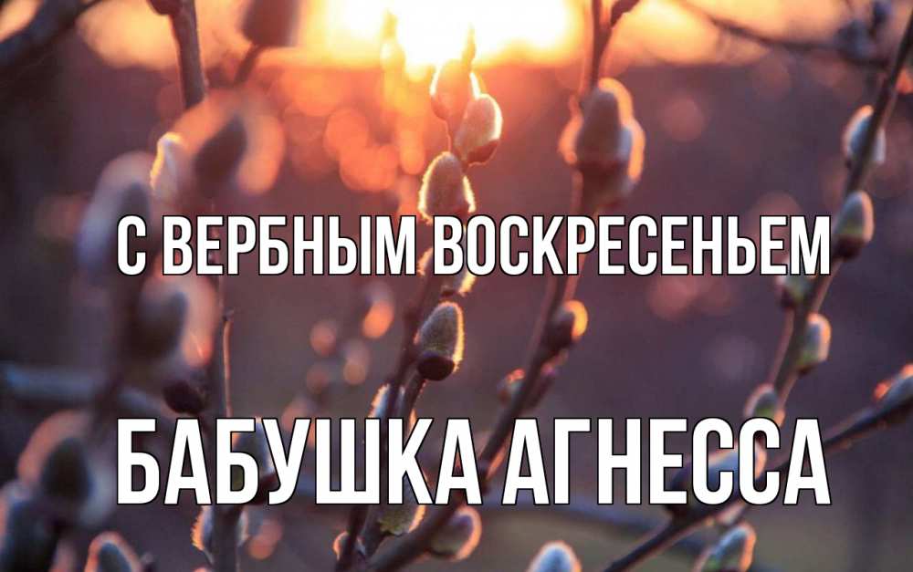 Открытка на каждый день с именем, Бабушка-Агнесса С вербным воскресеньем верба Прикольная открытка с пожеланием онлайн скачать бесплатно 