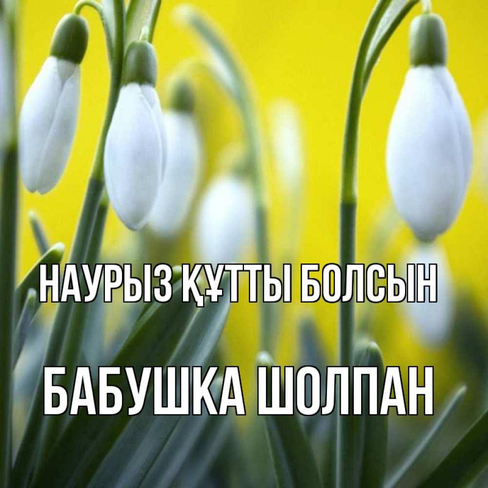 Открытка на каждый день с именем, Бабушка-Шолпан Наурыз құтты болсын весенние цветы Прикольная открытка с пожеланием онлайн скачать бесплатно 