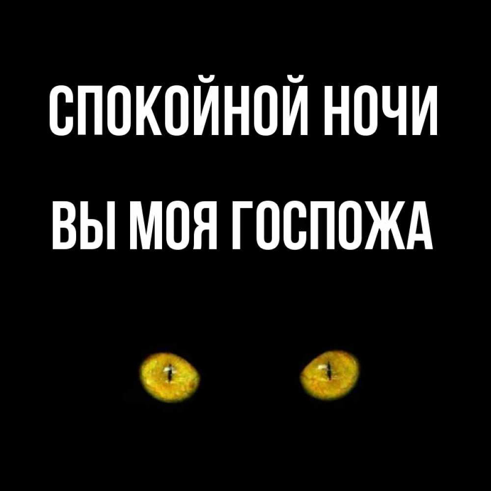 Открытка на каждый день с именем, Вы-моя-Госпожа Спокойной ночи сладких снов бесстрашный мой дружочек Прикольная открытка с пожеланием онлайн скачать бесплатно 