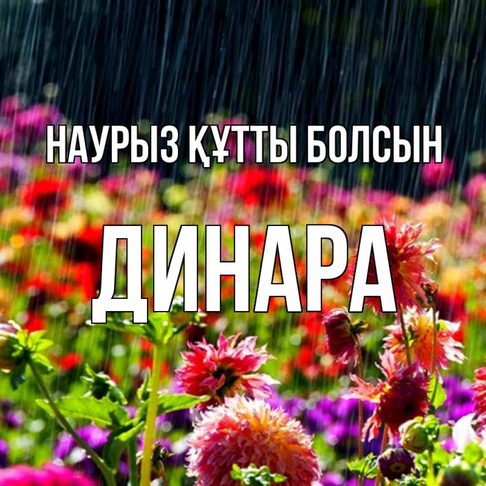 Открытка на каждый день с именем, Динара Наурыз құтты болсын цветы под дождиком к наурызу Прикольная открытка с пожеланием онлайн скачать бесплатно 