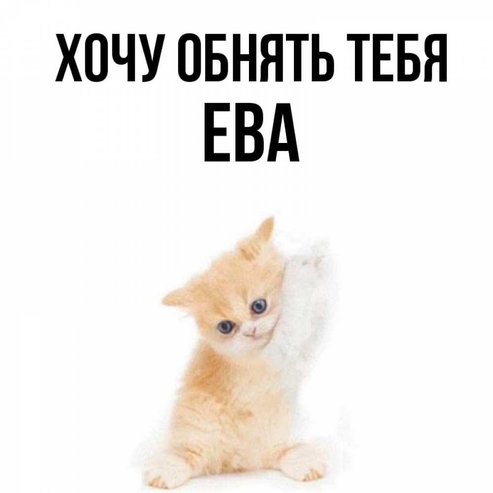 Открытка на каждый день с именем, Ева Хочу обнять тебя я хочу очень скорее обнимаешек Прикольная открытка с пожеланием онлайн скачать бесплатно 