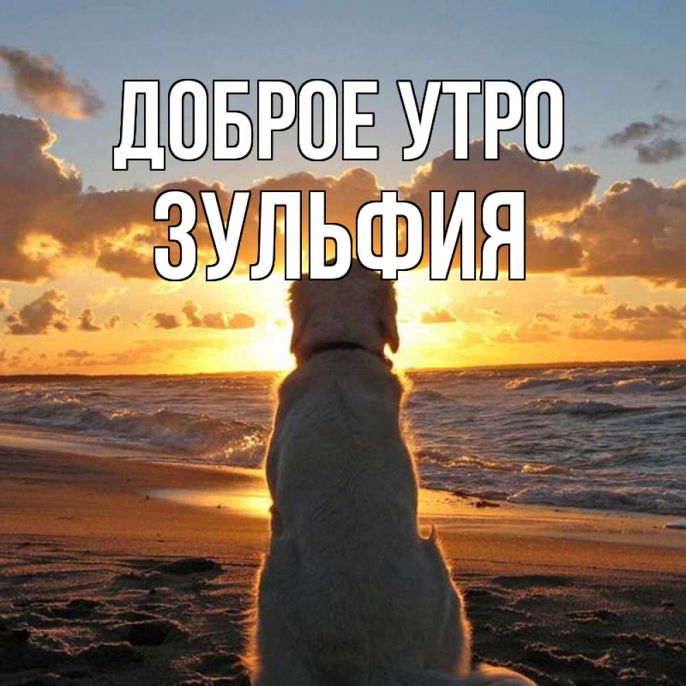 Открытка на каждый день с именем, Зульфия Доброе утро восход солнца Прикольная открытка с пожеланием онлайн скачать бесплатно 