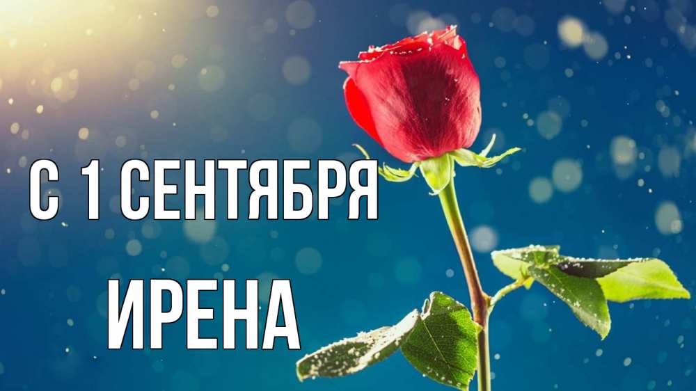Открытка на каждый день с именем, Ирена С 1 сентября с днем знаний Прикольная открытка с пожеланием онлайн скачать бесплатно 