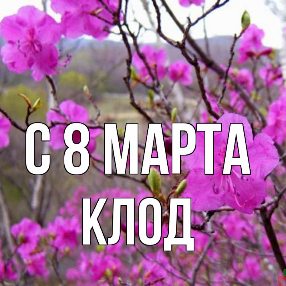 Открытка на каждый день с именем, Клод С 8 МАРТА международный женский день Прикольная открытка с пожеланием онлайн скачать бесплатно 