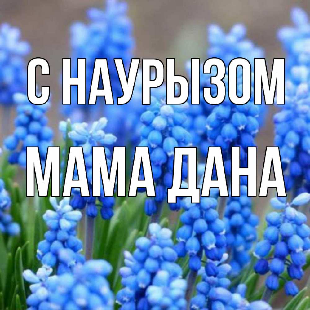 Открытка на каждый день с именем, Мама-Дана С наурызом Поздравительная открытка для женщин с цветами на праздничную дату Прикольная открытка с пожеланием онлайн скачать бесплатно 