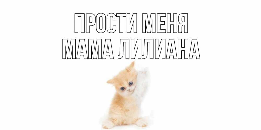 Открытка на каждый день с именем, Мама-Лилиана Прости меня кот Прикольная открытка с пожеланием онлайн скачать бесплатно 