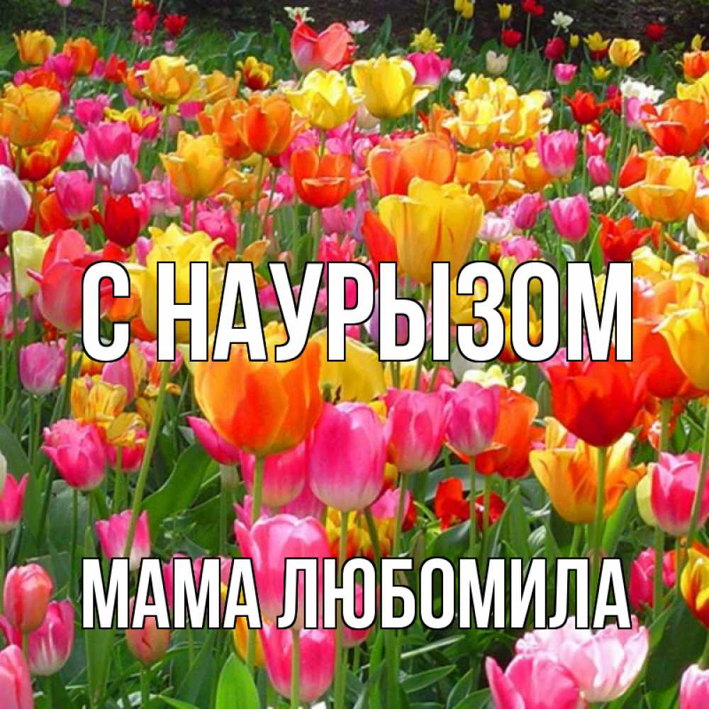 Открытка на каждый день с именем, Мама-Любомила С наурызом праздник весны наурыз 4 Прикольная открытка с пожеланием онлайн скачать бесплатно 
