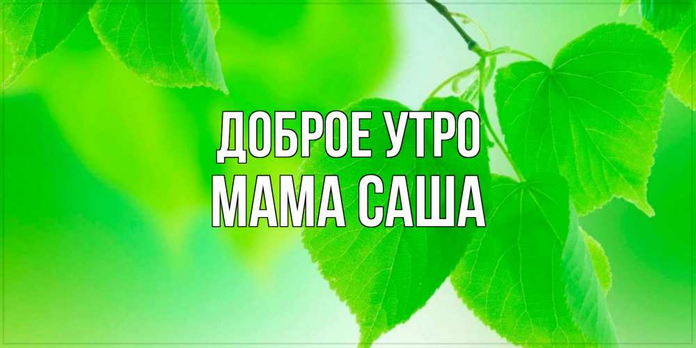 Открытка на каждый день с именем, Мама-Саша Доброе утро доброе утро с березовыми листьями Прикольная открытка с пожеланием онлайн скачать бесплатно 