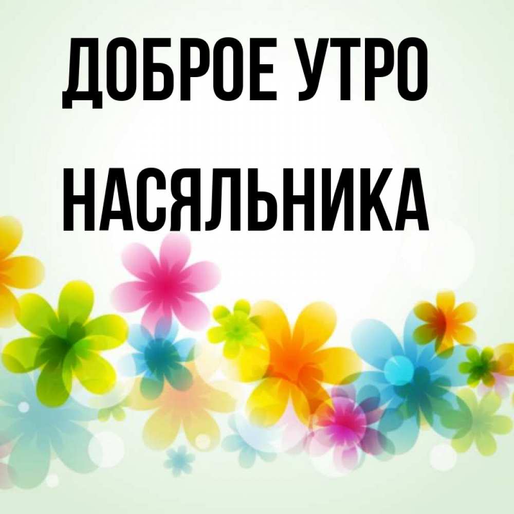 Открытка на каждый день с именем, Насяльника Доброе утро позитивные цветочки Прикольная открытка с пожеланием онлайн скачать бесплатно 