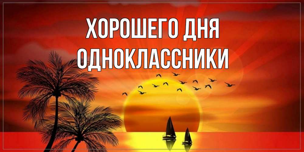 Открытка на каждый день с именем, ОДНОКЛАССНИКИ Хорошего дня открытки с пожеланиями хорошего дня Прикольная открытка с пожеланием онлайн скачать бесплатно 
