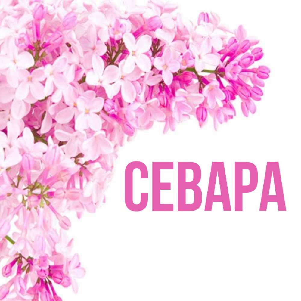 С Днем Рождения Севара