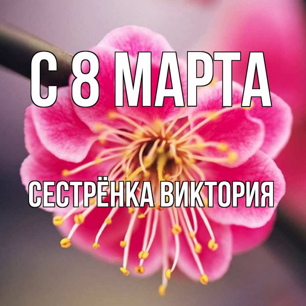Открытка на каждый день с именем, Сестрёнка-Виктория С 8 МАРТА цветы Прикольная открытка с пожеланием онлайн скачать бесплатно 