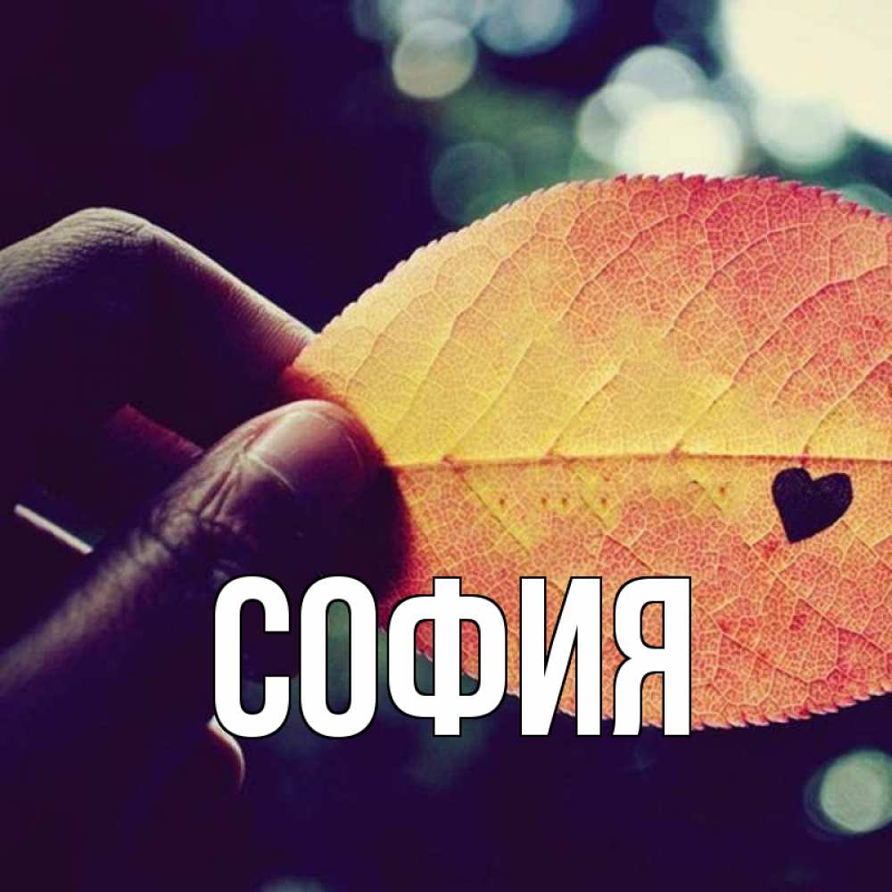 Открытка на каждый день с именем, София Главная держу лист Прикольная открытка с пожеланием онлайн скачать бесплатно 