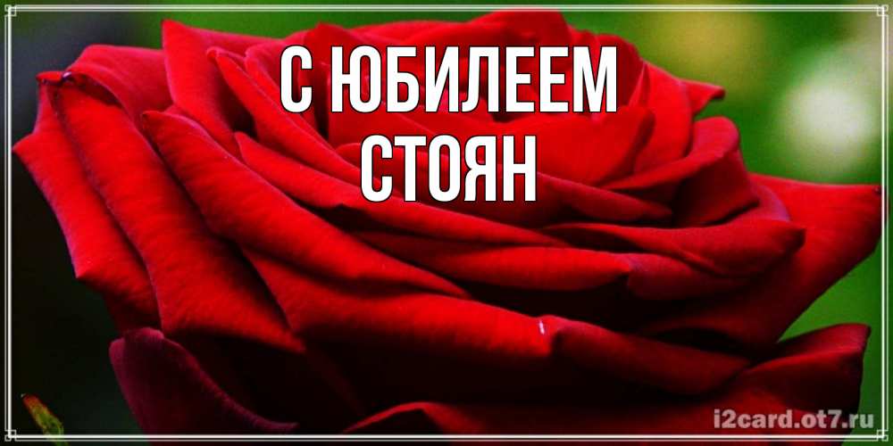 Открытка на каждый день с именем, Стоян С юбилеем розочка очень красивая Прикольная открытка с пожеланием онлайн скачать бесплатно 