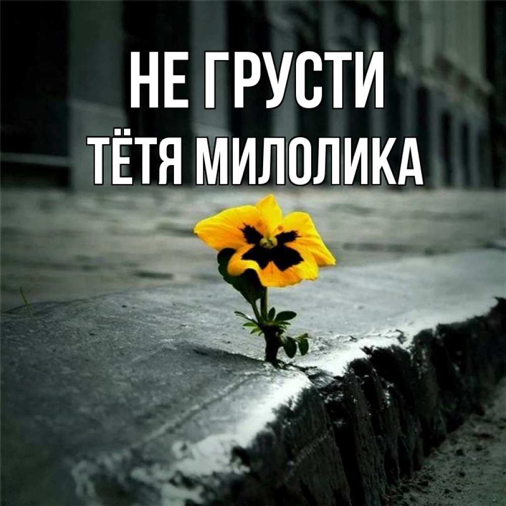 Открытка на каждый день с именем, Тётя-Милолика Не грусти не сдавайся Прикольная открытка с пожеланием онлайн скачать бесплатно 
