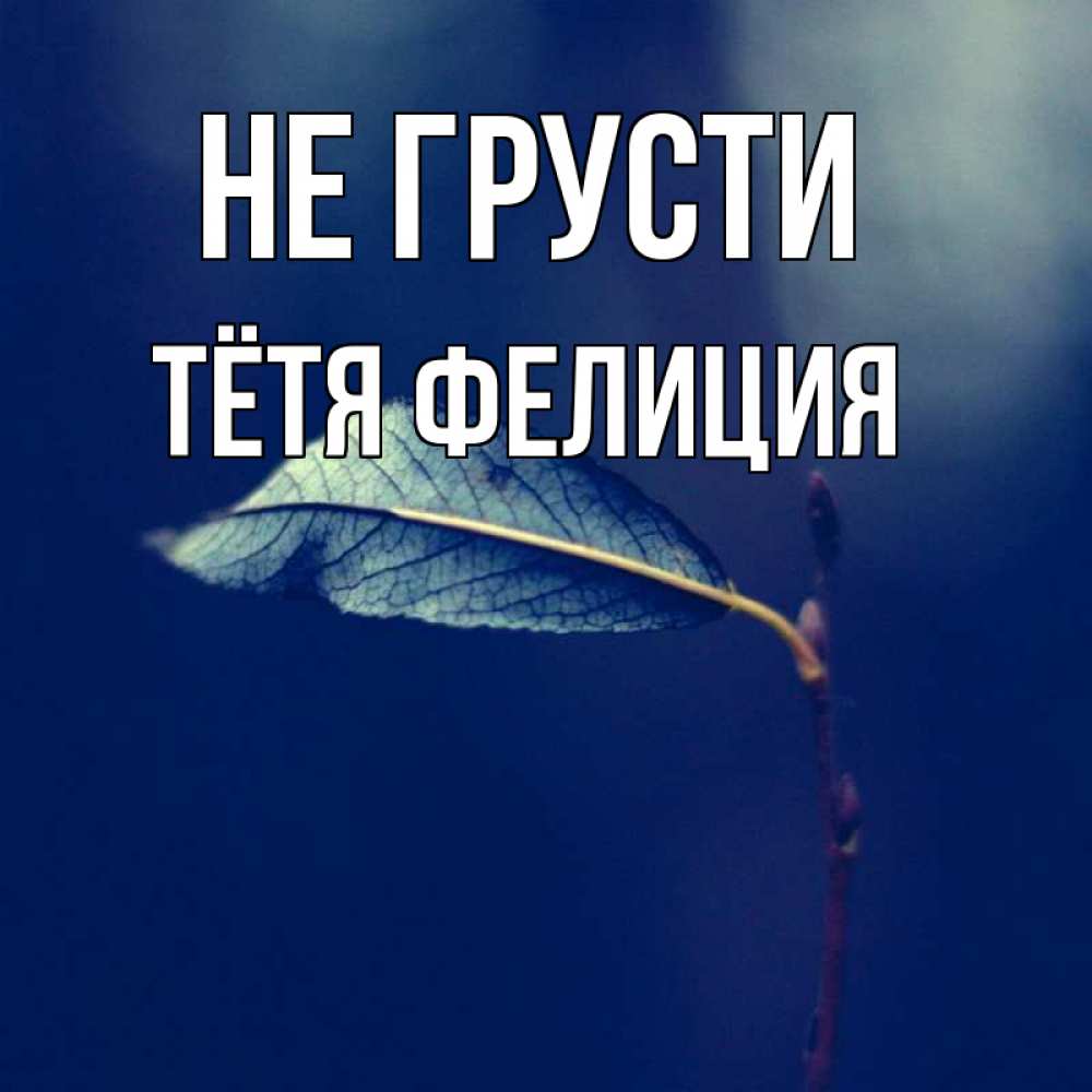 Открытка на каждый день с именем, Тётя-Фелиция Не грусти растение Прикольная открытка с пожеланием онлайн скачать бесплатно 