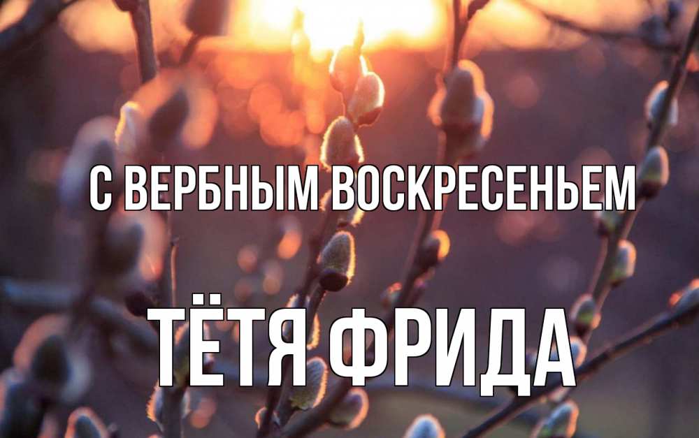 Открытка на каждый день с именем, Тётя-Фрида С вербным воскресеньем верба Прикольная открытка с пожеланием онлайн скачать бесплатно 