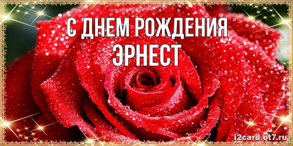 Открытка на каждый день с именем, Эрнест С днем рождения роса и роза. открытка с красивой розой Прикольная открытка с пожеланием онлайн скачать бесплатно 