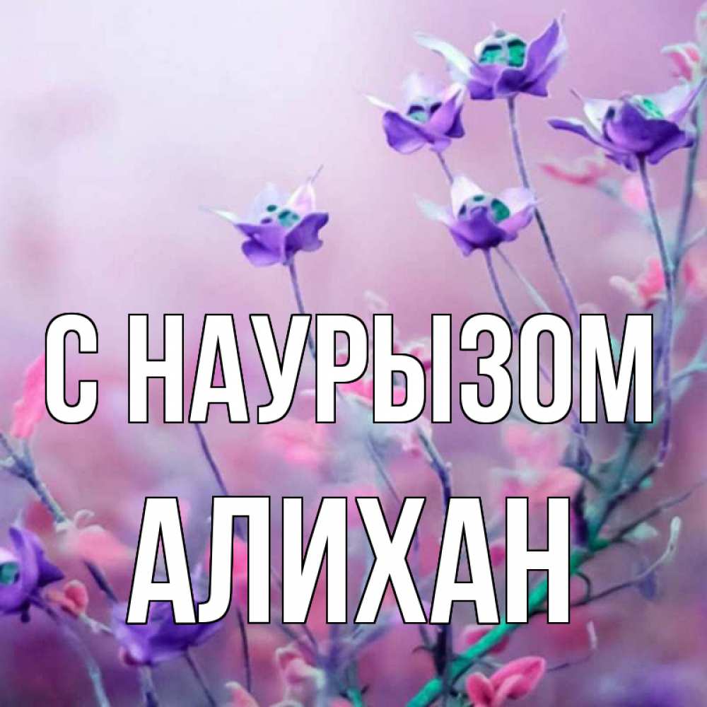 Открытка на каждый день с именем, Алихан С наурызом международный женский день 2 Прикольная открытка с пожеланием онлайн скачать бесплатно 