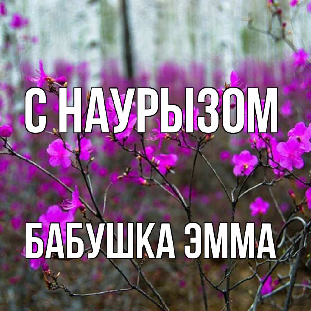 Открытка на каждый день с именем, Бабушка-Эмма С наурызом дикие цветы Прикольная открытка с пожеланием онлайн скачать бесплатно 