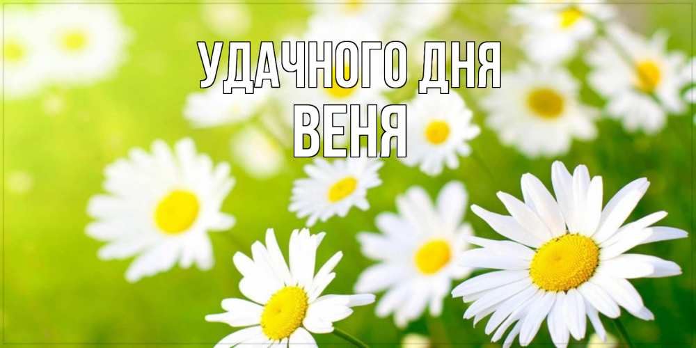 Открытка на каждый день с именем, Веня Удачного дня открытка с ромашками на зеленом фоне Прикольная открытка с пожеланием онлайн скачать бесплатно 