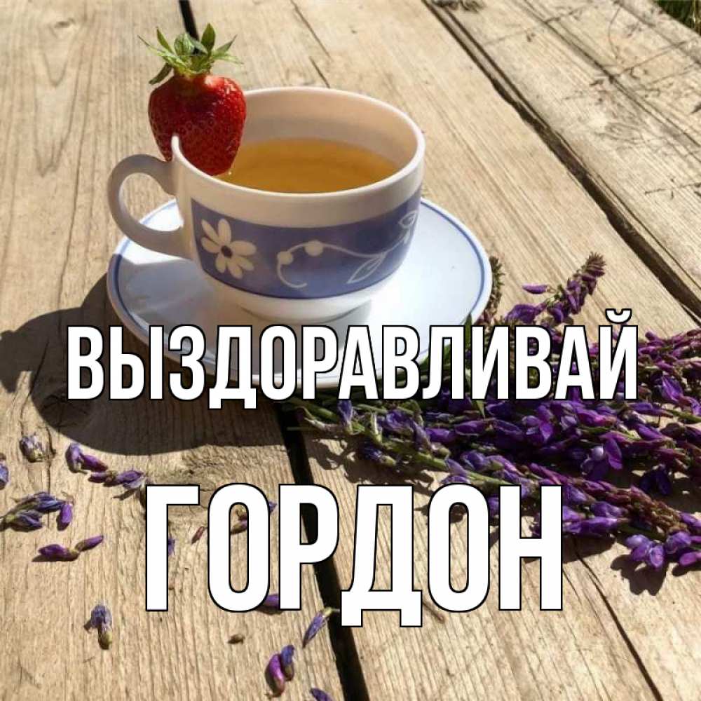 Открытка на каждый день с именем, Гордон Выздоравливай чай Прикольная открытка с пожеланием онлайн скачать бесплатно 