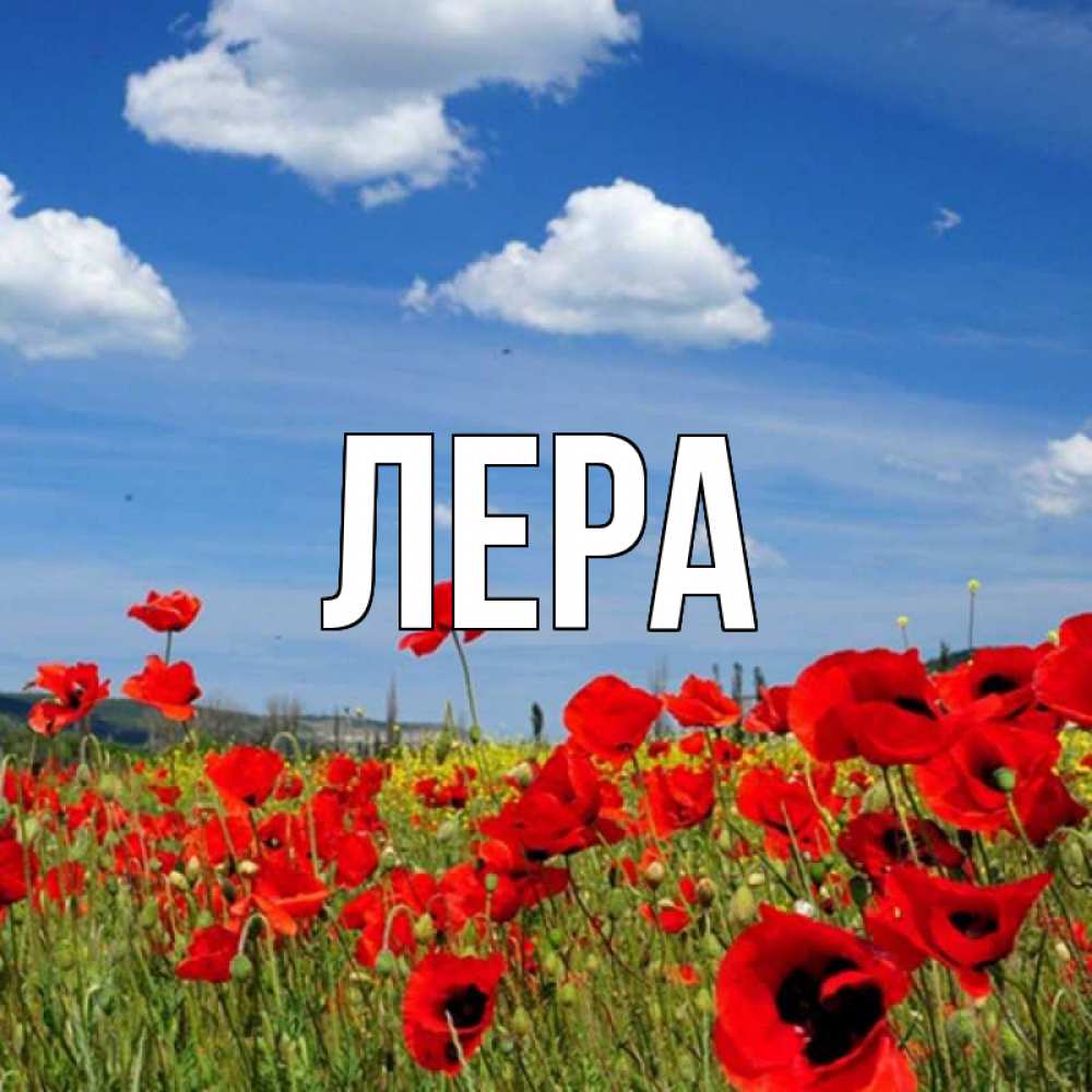 Открытка на каждый день с именем, Лера Главная праздник весны наурыз очень красивая картинка Прикольная открытка с пожеланием онлайн скачать бесплатно 