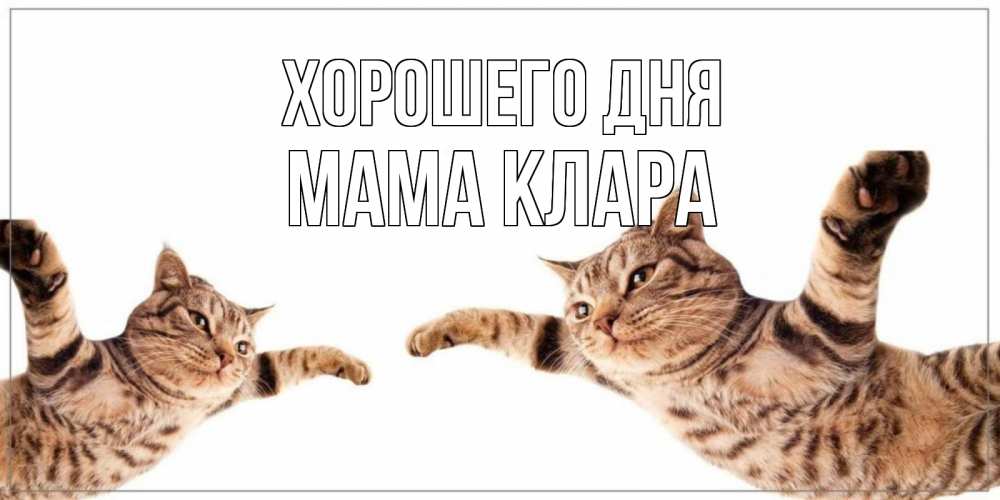 Открытка на каждый день с именем, Мама-Клара Хорошего дня хорошего дня Прикольная открытка с пожеланием онлайн скачать бесплатно 