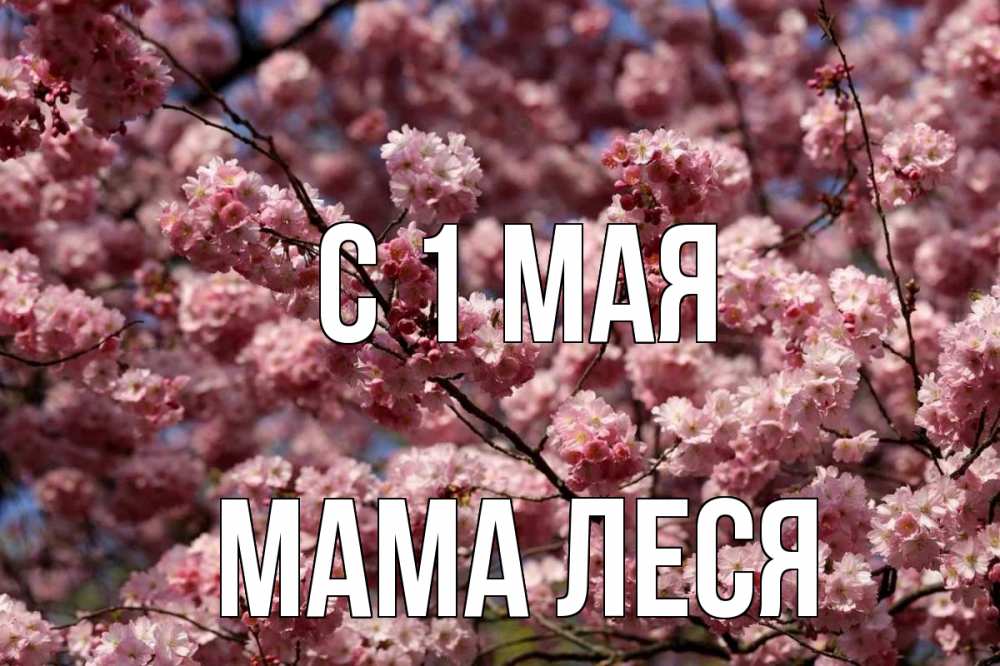 Открытка на каждый день с именем, Мама-Леся С 1 мая С 1 мая Прикольная открытка с пожеланием онлайн скачать бесплатно 