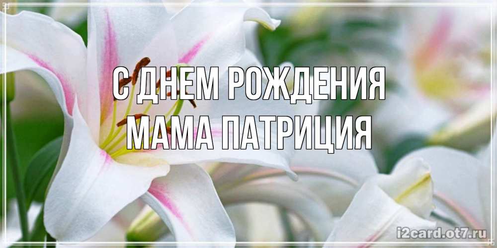 Открытка на каждый день с именем, Мама-Патриция С днем рождения открытка с белой лилией Прикольная открытка с пожеланием онлайн скачать бесплатно 