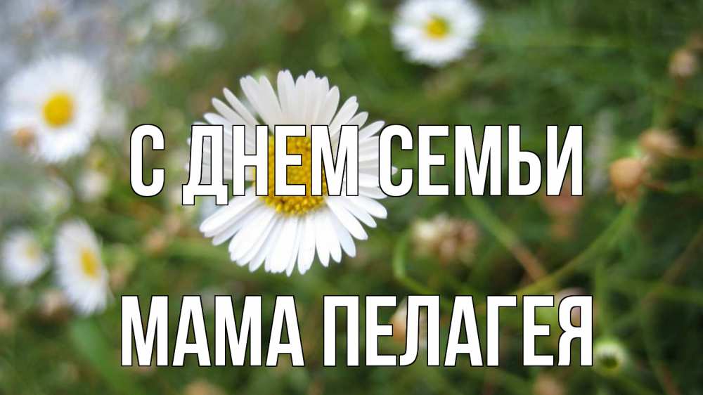 Открытка на каждый день с именем, Мама-Пелагея С днем семьи с днем семьи Прикольная открытка с пожеланием онлайн скачать бесплатно 