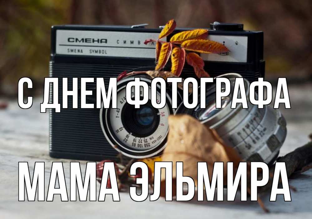 Открытка на каждый день с именем, Мама-Эльмира С днем фотографа с днем фотографа Прикольная открытка с пожеланием онлайн скачать бесплатно 