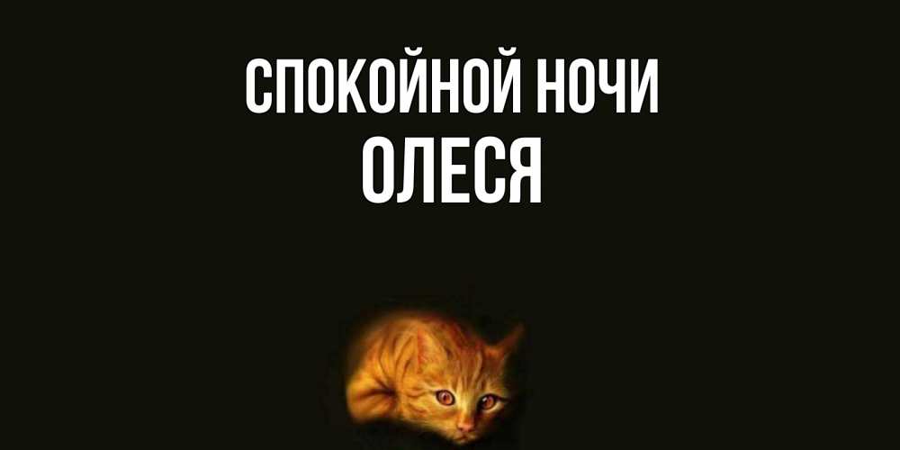 Открытка на каждый день с именем, Олеся Спокойной ночи кот Прикольная открытка с пожеланием онлайн скачать бесплатно 