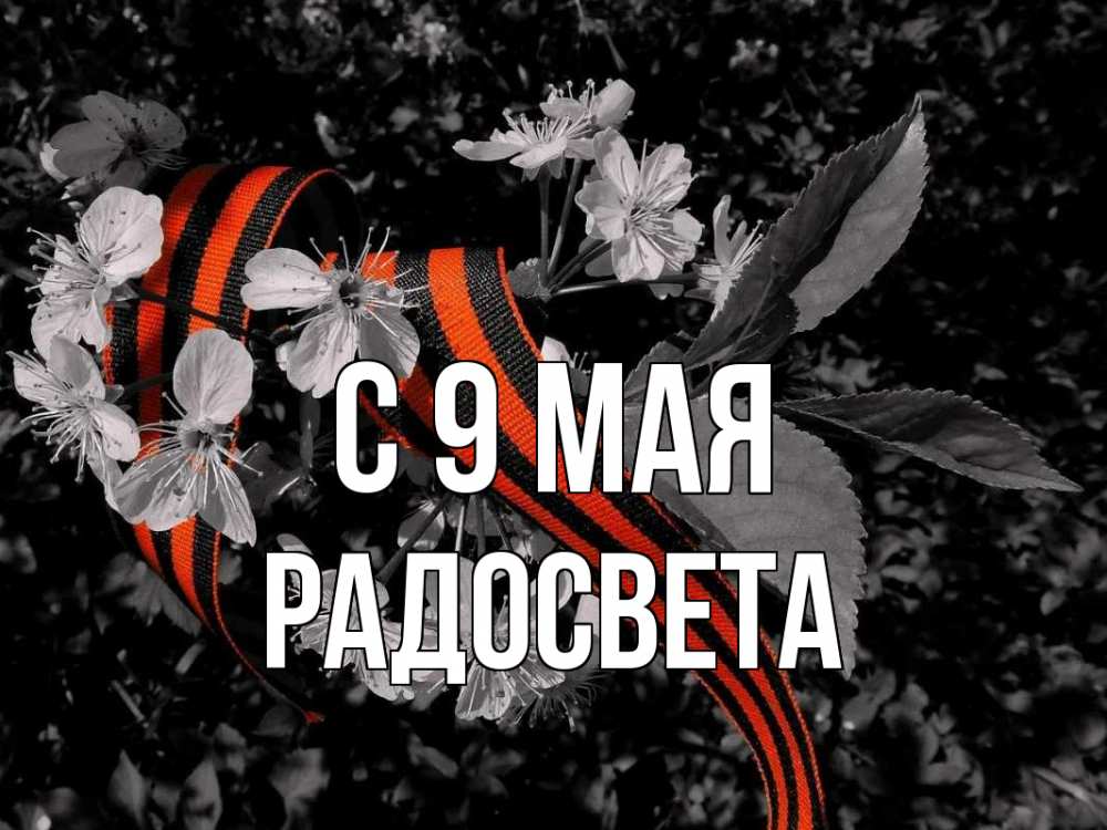 Открытка на каждый день с именем, Радосвета С 9 мая 9 мая Прикольная открытка с пожеланием онлайн скачать бесплатно 