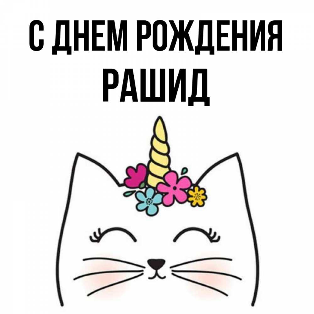 Открытка на каждый день с именем, Рашид С днем рождения милый кот с одним рожком Прикольная открытка с пожеланием онлайн скачать бесплатно 