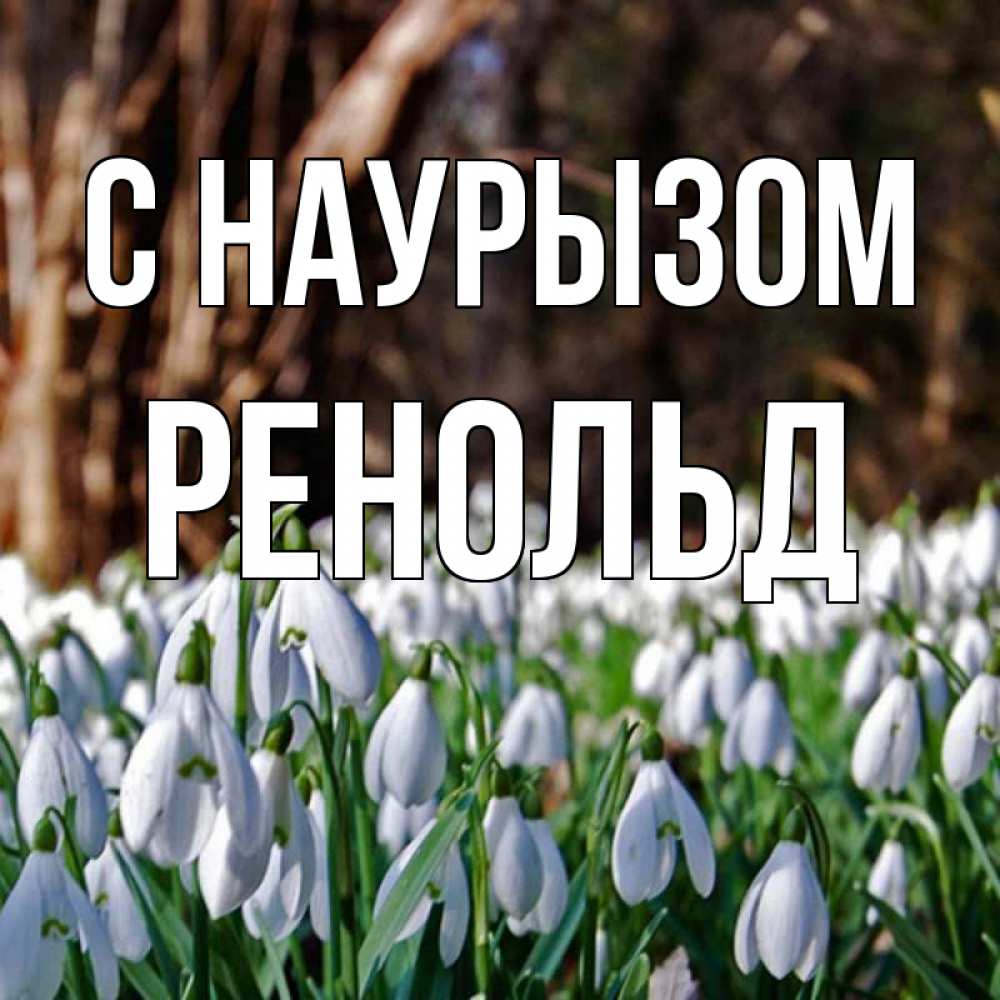 Открытка на каждый день с именем, Ренольд С наурызом с подснежниками 1 Прикольная открытка с пожеланием онлайн скачать бесплатно 
