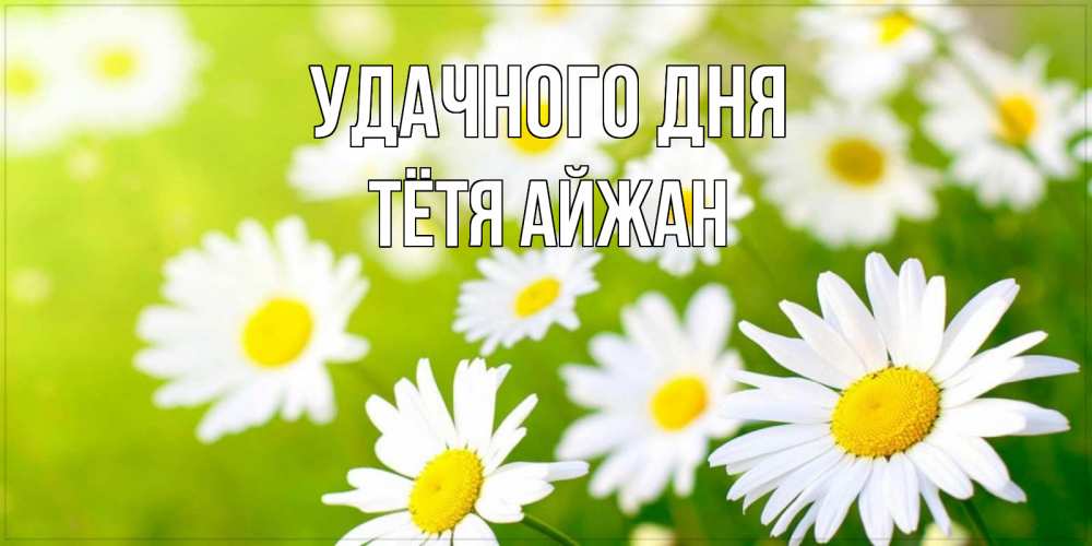 Открытка на каждый день с именем, Тётя-Айжан Удачного дня открытка с ромашками на зеленом фоне Прикольная открытка с пожеланием онлайн скачать бесплатно 