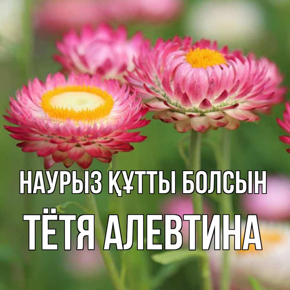 Открытка на каждый день с именем, Тётя-Алевтина Наурыз құтты болсын подарок на международный женский день Прикольная открытка с пожеланием онлайн скачать бесплатно 