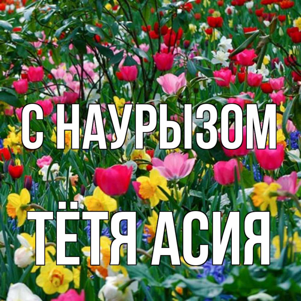 Открытка на каждый день с именем, Тётя-Асия С наурызом с наурызом праздником весны поздравления для женщины Прикольная открытка с пожеланием онлайн скачать бесплатно 